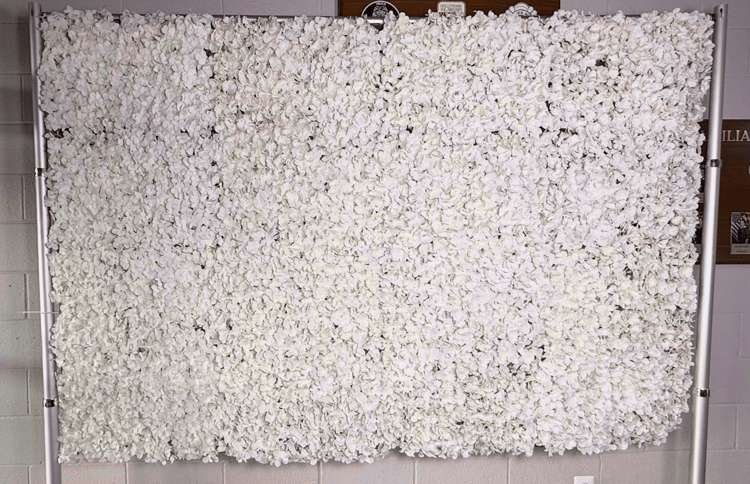 White Flower Backdrop (Extra Cost)